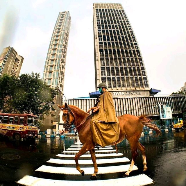 Best Park in Kolkata - Maidan 