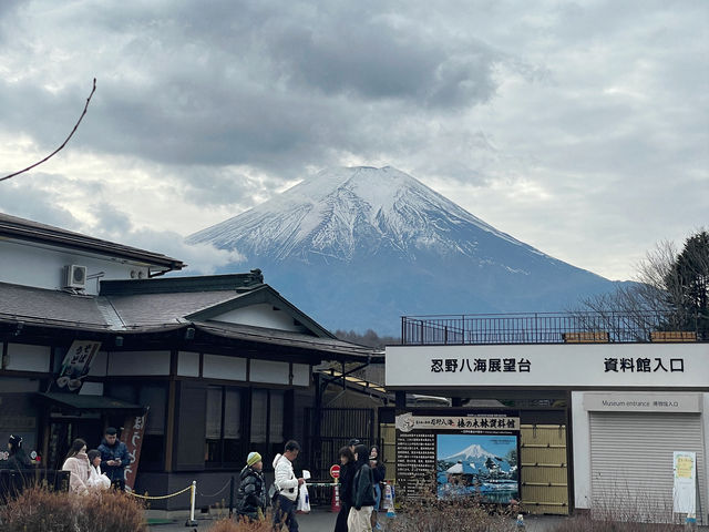 ชมวิวฟูจิหน้าหนาวที่หมู่บ้านน้ำใส 🗻