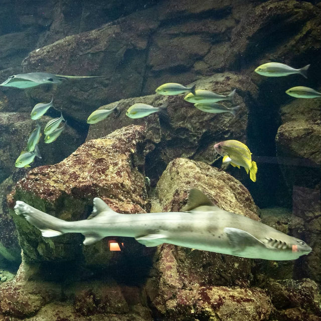 Kinosaki Marine World