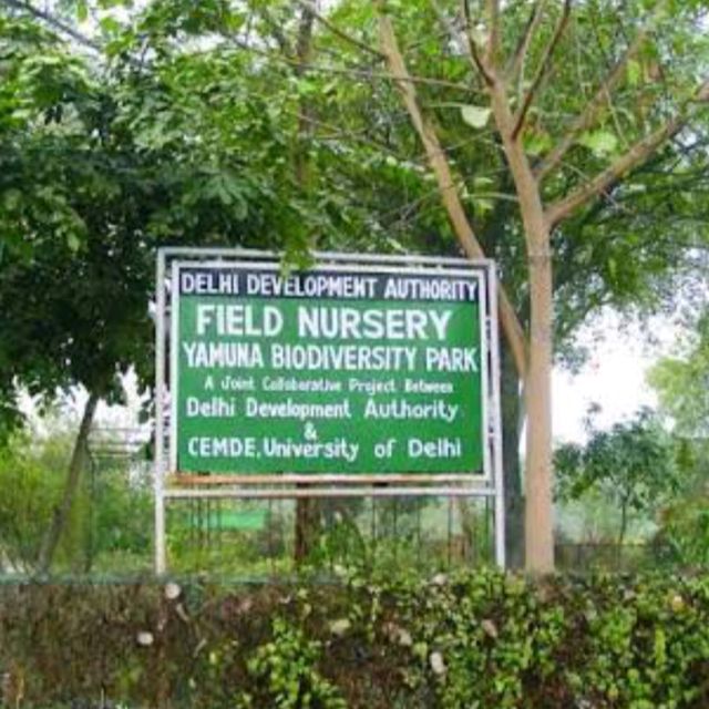 Yamuna Biodiversity 🏞️🌄 Park