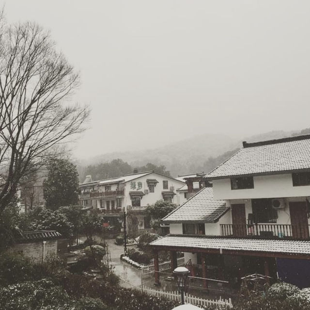 【2024】青芝塢：浙大玉泉校區旁的特色村落，餐廳，茶會應有盡有