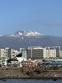 제주도 한라산이 한눈에 보이는 풍경
