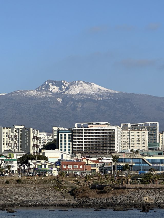 제주도 한라산이 한눈에 보이는 풍경