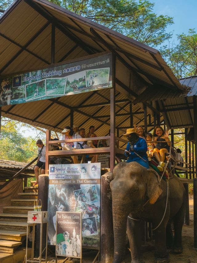 파타야 핫플 코끼리가 살고있는 몽창카페 🐘