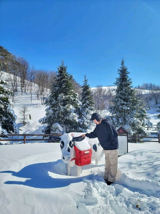 눈쌓인 동물체험장 어떤데🥹❄️