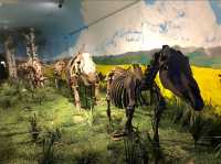 Heilongjiang Museum