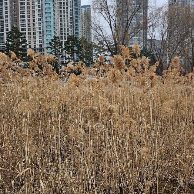 경기도에서 가장 큰 호수공원 <광교호수공원>❤️