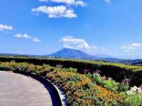 Kagoshima Kenko-no-mori Park