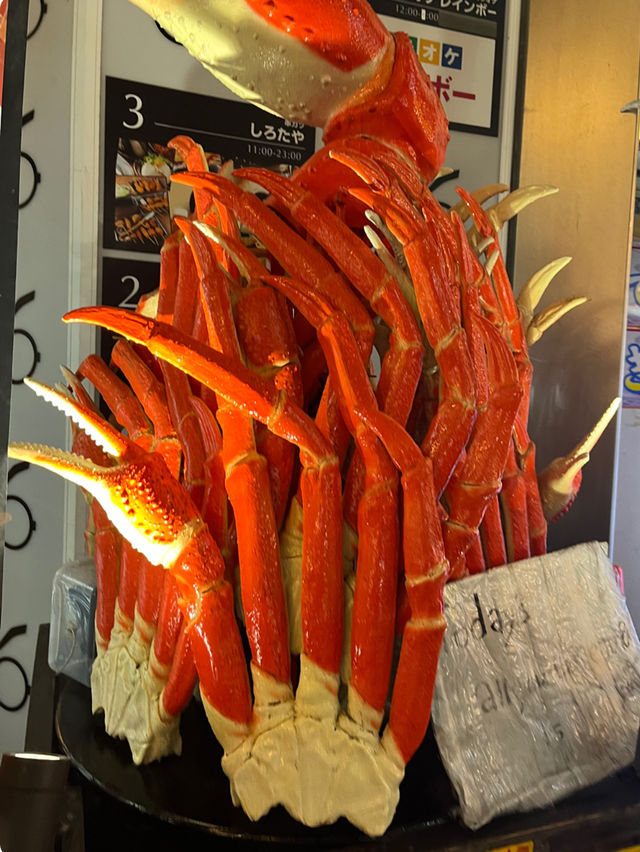 【大阪観光】見るだけで楽しい道頓堀の巨大看板✨