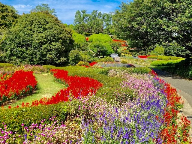 Nokonoshima Island Park