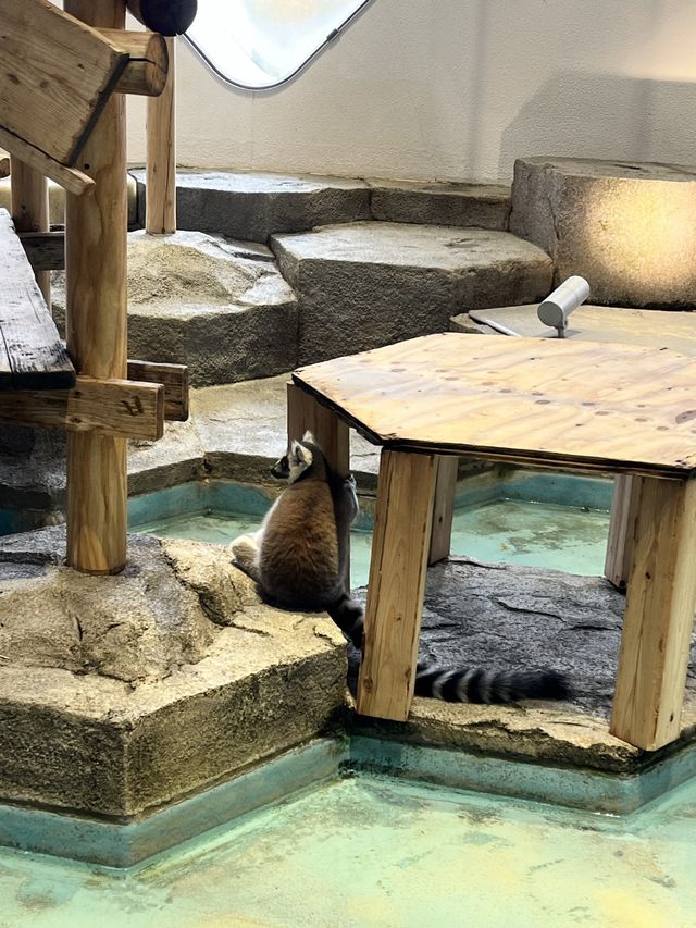 美術館…？いえ歴とした水族館です