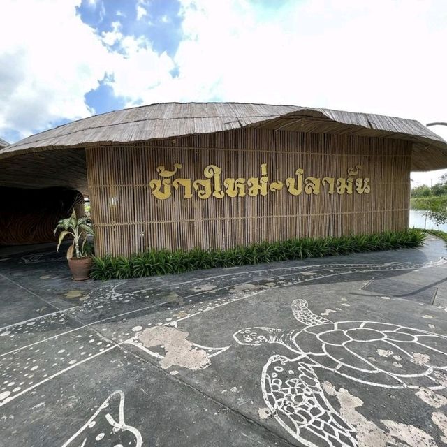 ร้านข้าวใหม่ปลามัน