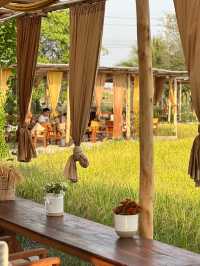 🍃🌾 Lamer Homecraft cafe 