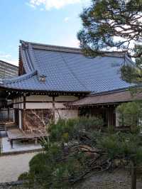 仁和寺の庭や池を眺めるていると、神社とは、また違う…寺院独特の荘厳な美しさを感じる