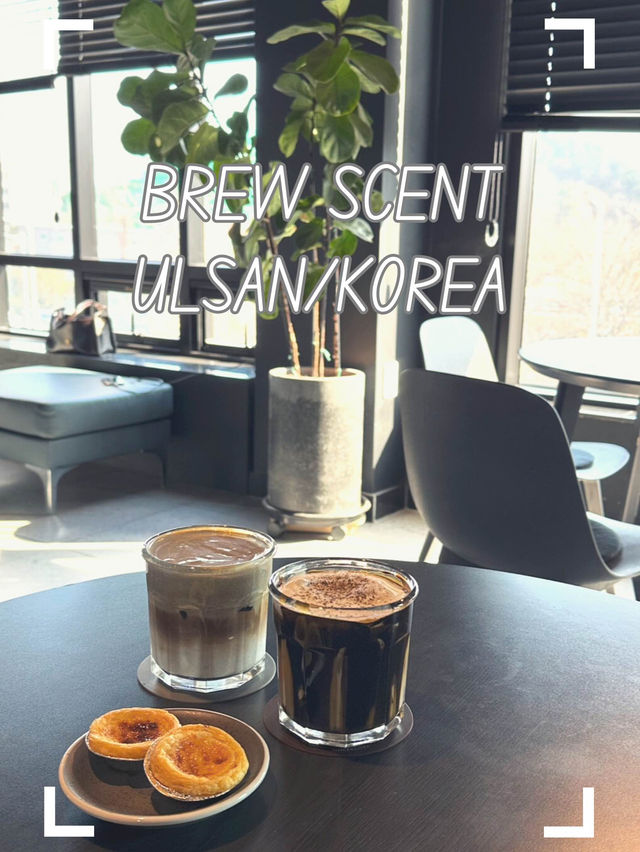 【韓国/蔚山/カフェ】ゆっくりすごすにはもってこい！なカフェ