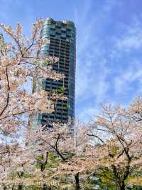 都会的な風景と桜のコラボが美しい、東京ミッドタウンと六本木ヒルズ