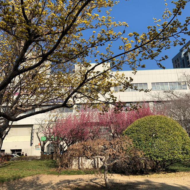 도심 속 산책하기 좋은, 경상감영공원