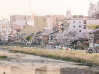 นั่งชิลยามเย็นที่ Kamo River เมืองเกียวโต