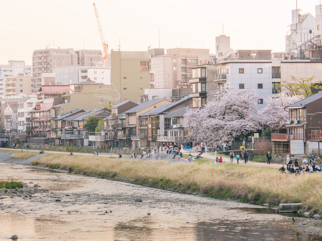 นั่งชิลยามเย็นที่ Kamo River เมืองเกียวโต