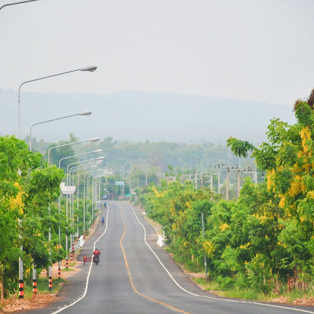 หินช้างสี