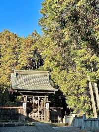 【出雲伊波比神社/埼玉県】柚子の町と流鏑馬の神社