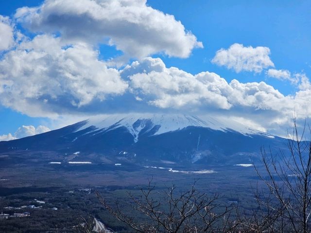 打卡必去河口湖景點｜富士山景觀纜車，居高臨下與富士山相望的天上山公園