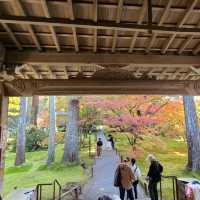 歴史ある門跡寺院⭐大原三千院⭐
