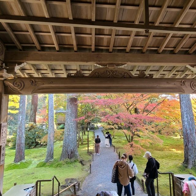 歴史ある門跡寺院⭐大原三千院⭐