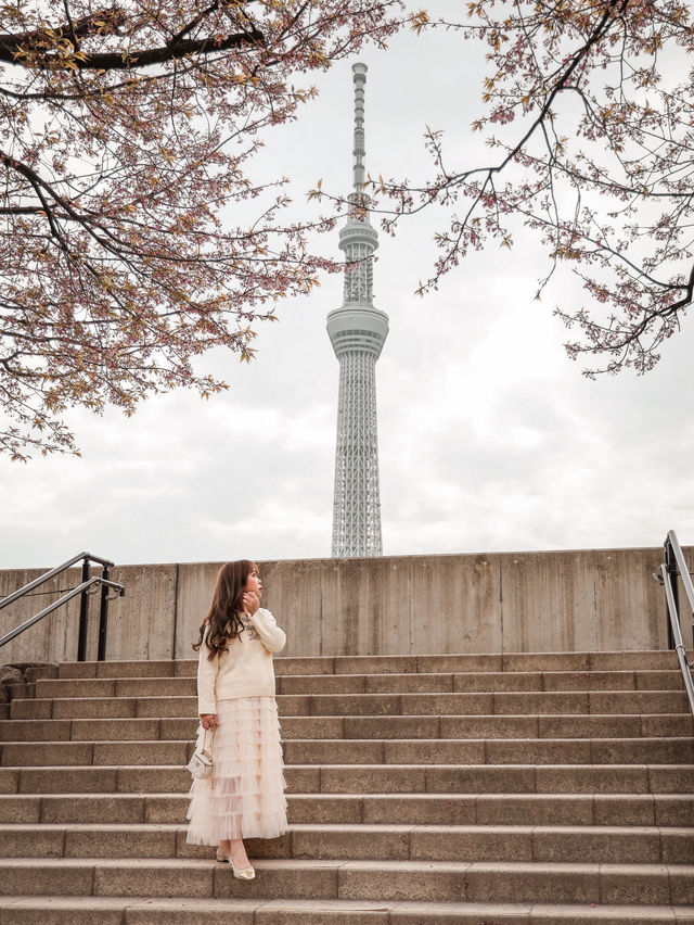 東京｜櫻花之旅 隅田公園美到窒息🌸