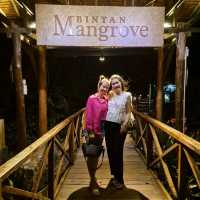 Fascinating Bintan Mangrove Night Tour