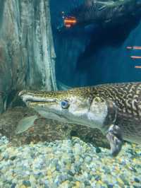 Aquaria KLCC