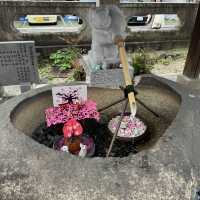 【愛知】うさぎモチーフがかわいい神社🐇三輪神社
