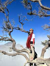 Ethereal Nights at Ijen Crater