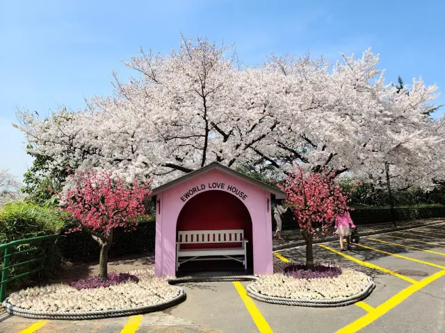 Lovely Cherry Blossom in Eworld