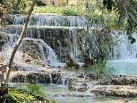 寮國🇱🇦龍坡邦 關西瀑布Kuang Si Waterfall