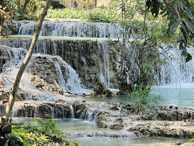 寮國🇱🇦龍坡邦 關西瀑布Kuang Si Waterfall