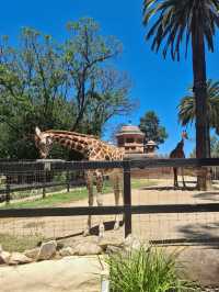 Adelaide Zoo