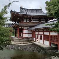 一趟心靈洗滌之旅-宇治平等院⛩️