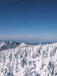 日本東北·山形縣藏王樹冰