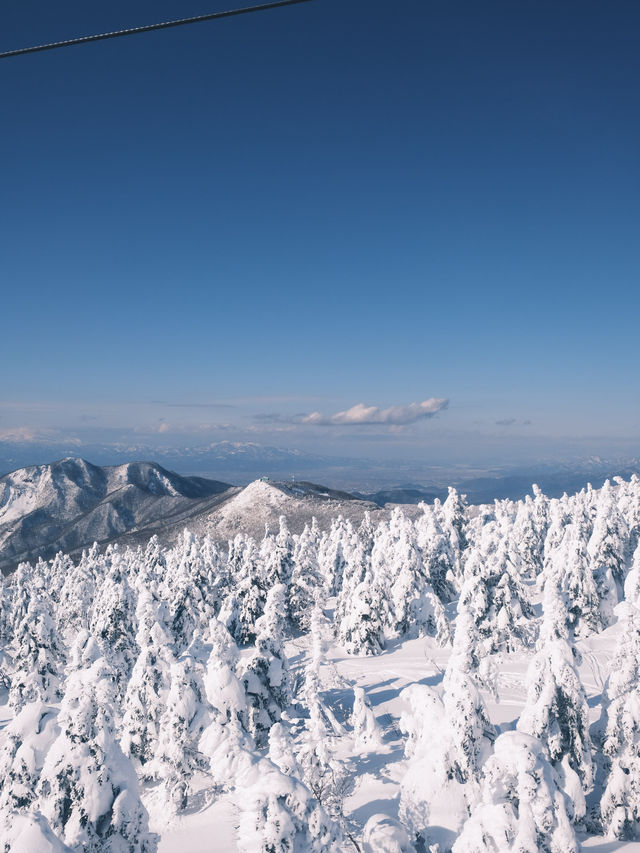 日本東北·山形縣藏王樹冰