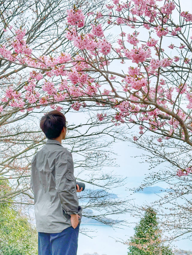 日本著名嘅欣賞櫻花地點🇯🇵