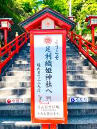 【足利織姫神社/栃木県】縁結びの神様と絶景の眺望