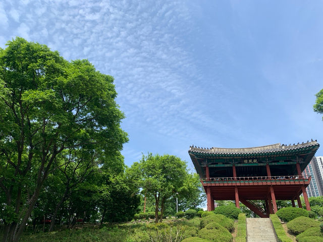 아이들과 함께하기 좋은 도심 속 공원, 대구 달성공원