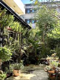 桃園超美植物系咖啡廳「我享 I enjoy 」