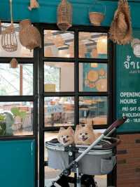 ร้านส้มตำมิชลิน 2ปีซ้อนที่เขาใหญ่ น้องหมาเข้าได้