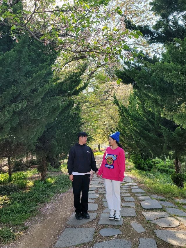 봄향기 피어나던 보성 득량역🌸