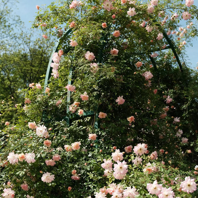【大阪景點】HOS花園：世界珍奇植物，園藝治療，放鬆靜心時光