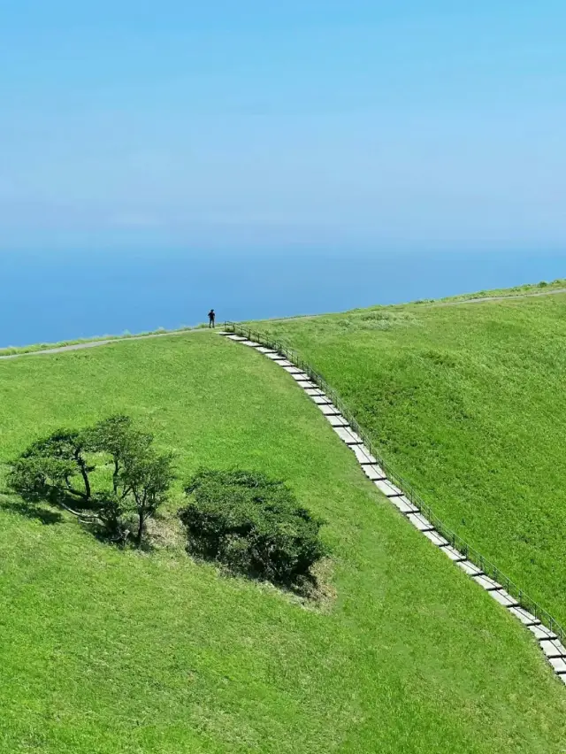 夏日抹茶山：大室山的星空下