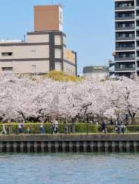 สวนสาธารณะ Minami Temma Park 🌸💕 โอซาก้า