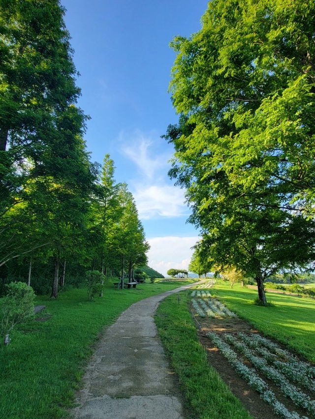 淡路島　大パノラマのお花畑を楽しめる公園🌷